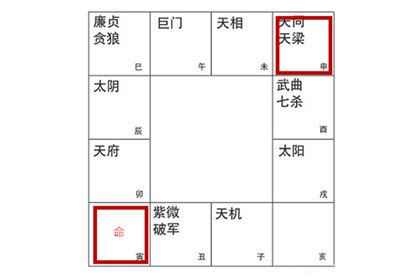 對拱|為何「天同、天梁」同宮被稱為遇難呈祥的星曜組合－斗數人生命。